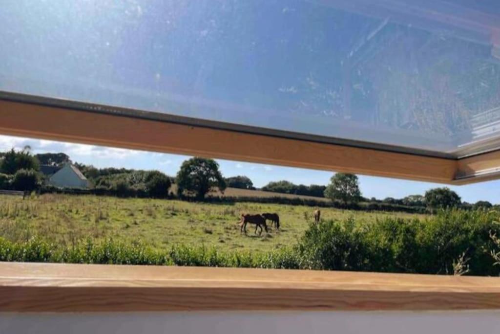Holiday home Field House *